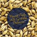 Golden Promise Pale Ale 1kg Kvernet Finest Pale Ale Malt 5 EBC / 2,4 L