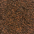 Roasted Barley 1kg Hel - Simpsons 1600 EBC