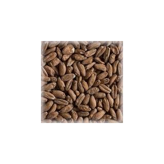 Castle Spelt Malt 3-7 EBC