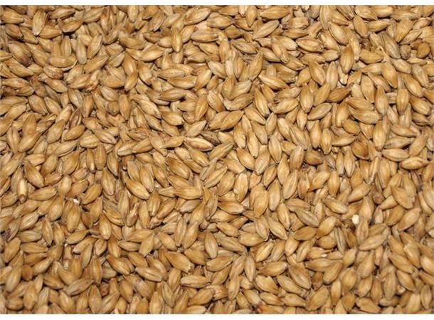 Diastatic Barley Malt 1kg Hel Enzym malt 4,5 EBC / 2 L