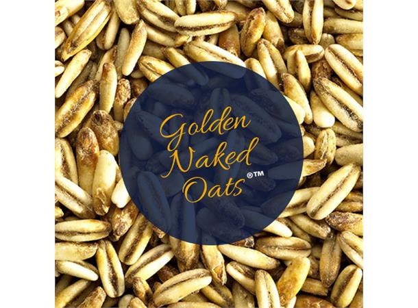 Golden Naked Oats Havre, 12-25 EBC 