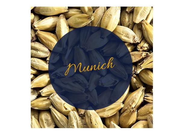 Muntons Munich Malt 12-20 EBC / 5-8 Lovibond 