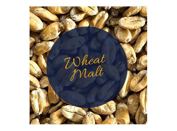 Hvetemalt - Muntons EBC 4 - 2 L Wheat Malt 