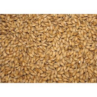 Acidulated Malt (Syremalt) 4 EBC / 2 L