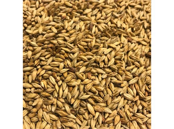 Beech Smoked Barley Malt 6 EBC / 2,8 L