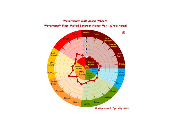 Floormalted Bohemian Pils Pilsnermalt 6 EBC / 2,8 Lovibond 