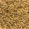 Red X Malt 1kg Kvernet 30 EBC / 12 Lovibond pilsmalt