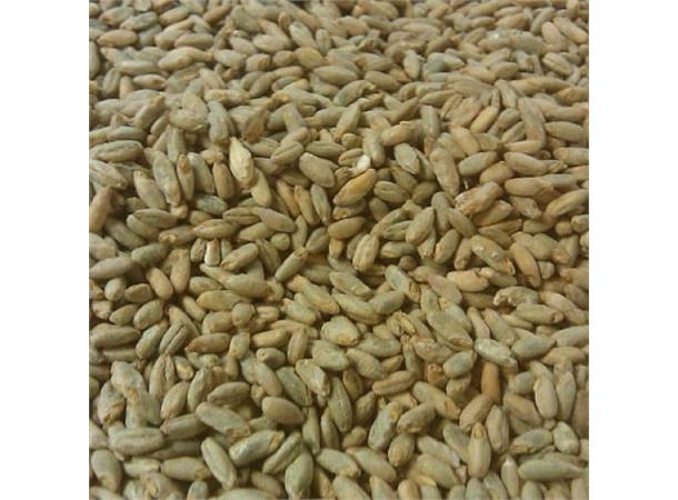Rug Malt / Rye Malt 100g Hel 4-10 EBC - 2-4.2 L 