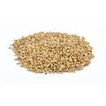 Premium Pilsner Malt 100g Kvernet EBC: 2-3 /Lovibond 1,2-1,4