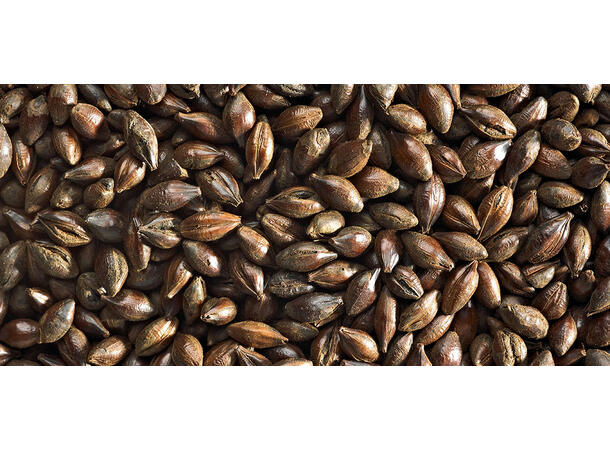 Roasted Barley 1kg Hel 1150 EBC - Weyermann 