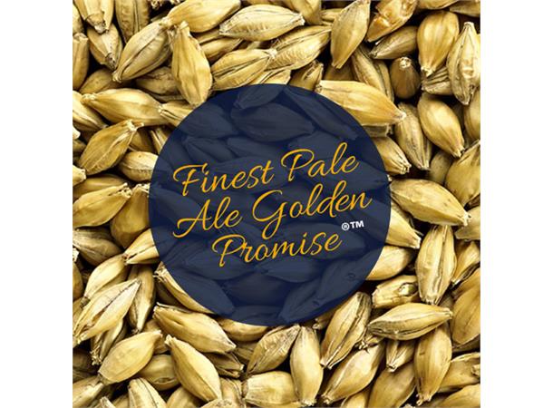 Golden Promise Pale Ale Malt Finest Pale Ale Malt 5 EBC / 2,4 L 