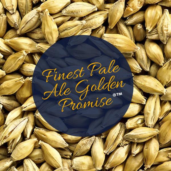 Golden Promise Pale Ale Malt Finest Pale Ale Malt 5 EBC / 2,4 L