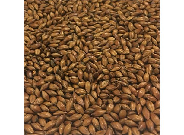 Low Colour Chocolate Malt 100g Hel 414-655 EBC / 155-246,2 L 