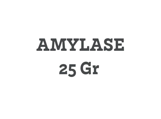 Amylase 25 gram