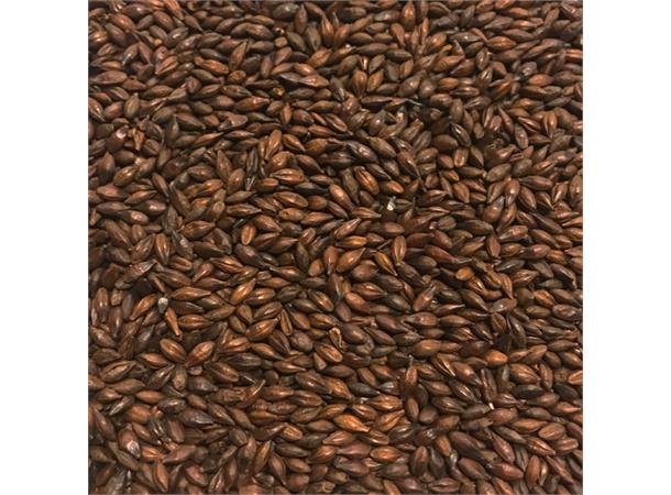 Carafa Spesial Type 3 1300-1500 EBC / 490,6-566 L 