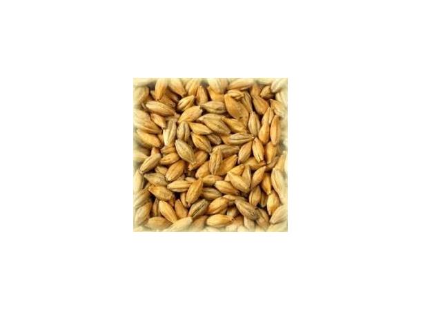 Castle Pale Ale Malt 7-10 EBC / 3,2-4,3 L - Castle 