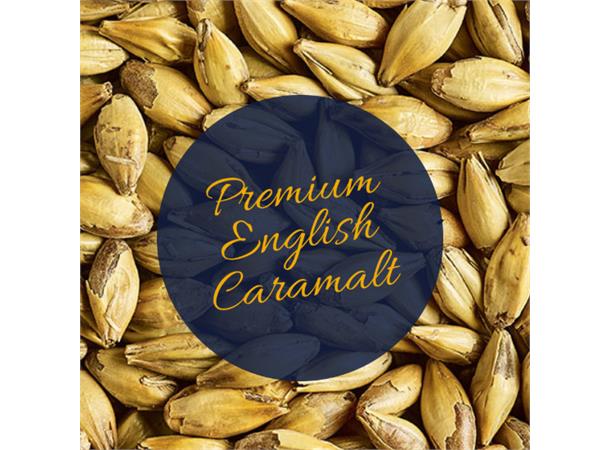 Premium English Caramalt 60 EBC / 23,1 L - Lys karamellmalt 