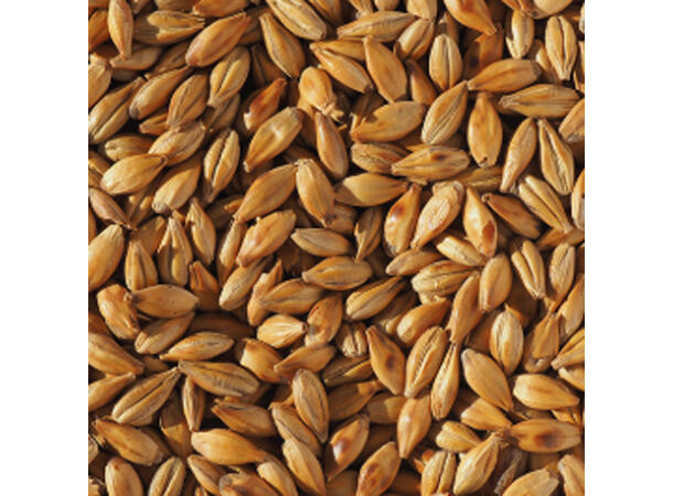 Crisp Cara Malt – Lys karamellmalt EBC: 30 - for fylde og skumfasthet 