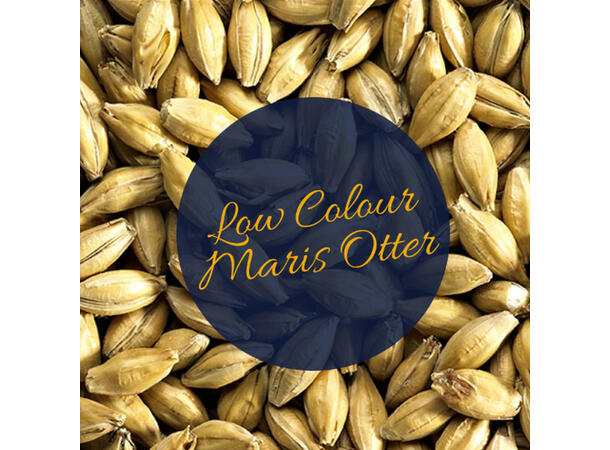 Low Colour Maris Otter Pale Ale Malt EBC 4 