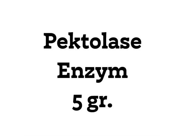 Pektolase Enzym 5g
