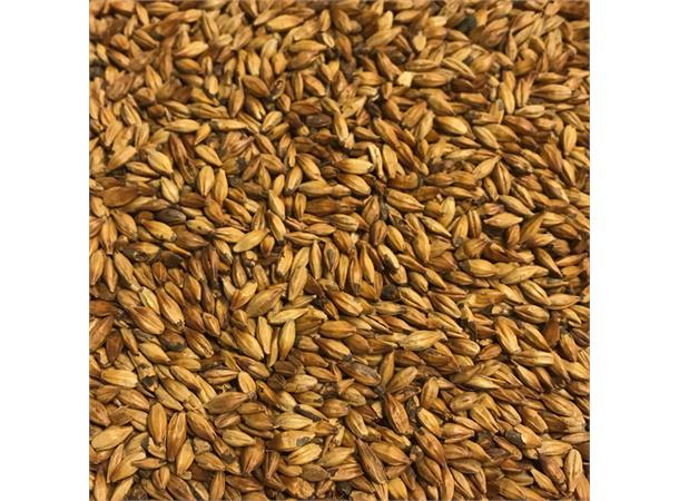 Special B 100g Hel 260-320 EBC / 98,1-120,6 L - Brewferm 