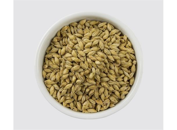 Vienna malt - Muntons EBC 7 - 12  Vienna Malt 