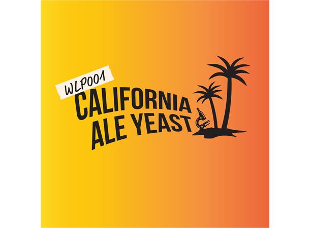 WLP001 California Ale yeast 11g Tørrgjær Tørrgjær til ølbrygging