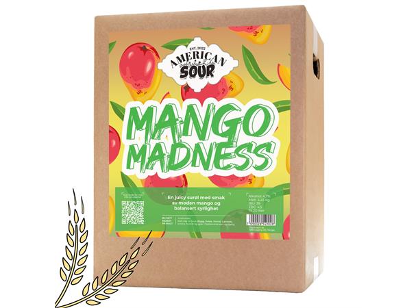Mango Madness allgrain ølsett American Sour