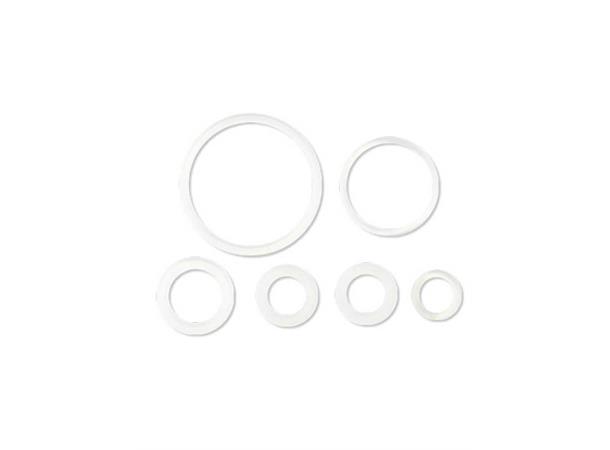 GF30 Fermenter Dual Valve Tap Seals 