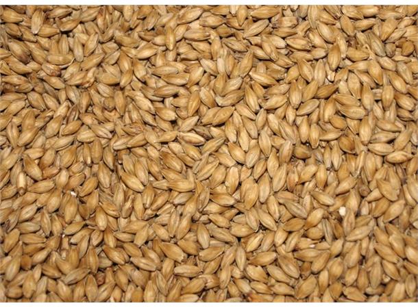 Isaria 1924 Malt 1kg Hel EBC: 5-10 