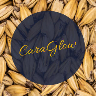 CaraGlow Simpsons 15 EBC / 6 L - Lys karamellmalt