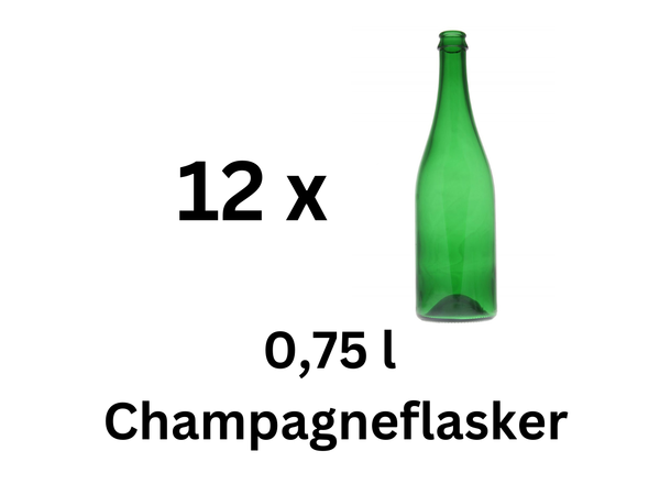 Eske med 12 stk Champagneflasker750 ml Grønne 750 ml 