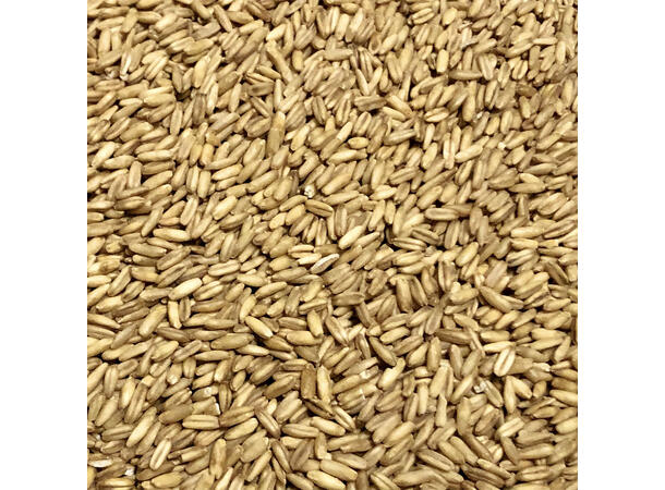 Naked Oats 1kg Hel Gir kremet fylde og nøttepreg 