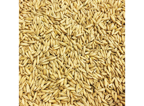 Havremalt 1kg Hel Havre, 4EBC 