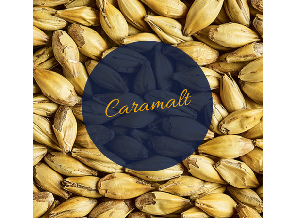 Caramalt - Simpsons 30 EBC / 15 L - Lys karamellmalt 