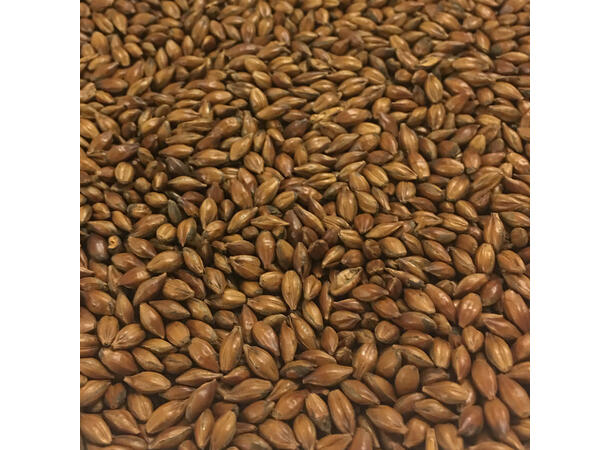 Low Colour Chocolate Malt 100g Kvernet 414-655 EBC / 155-246,2 L 