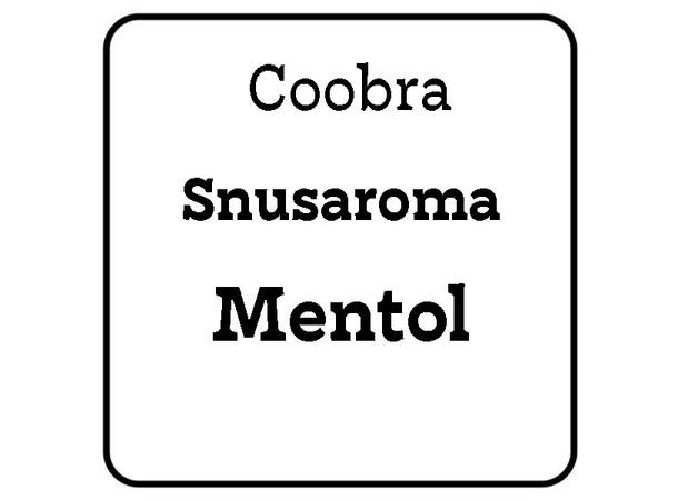 Snusaroma Menthol 25ml Coobra 