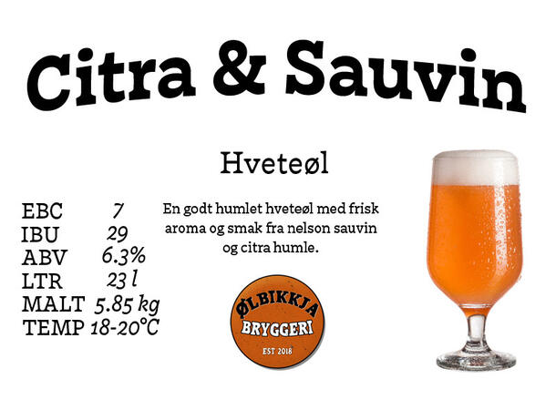 Citra & Sauvin allgrain Frisk hveteøl med humlepreg 